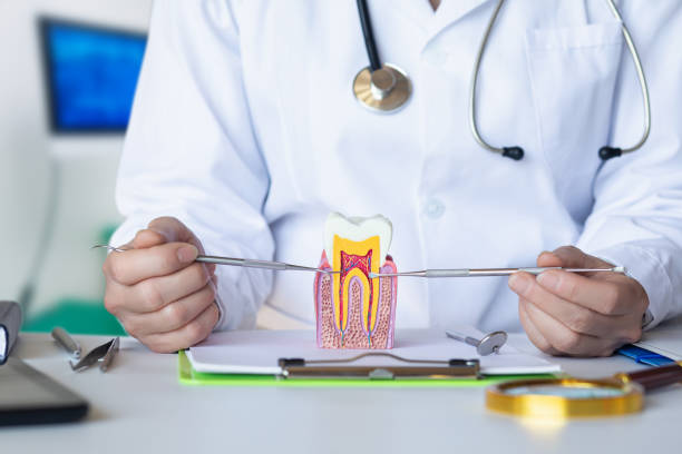 Best Emergency Root Canal Treatment in Manchester, IA
